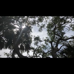 Meet your Posher, Emerald